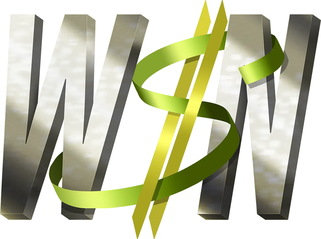 Web$Negócios.
